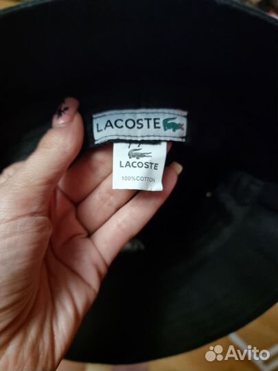 Панама lacoste