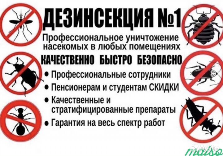 Уничтожение, обработка тараканов, клопов, блох