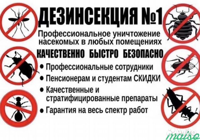 Уничтожение, обработка тараканов, клопов, блох
