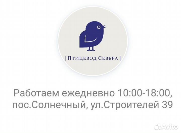 Сено в рулонах 2023