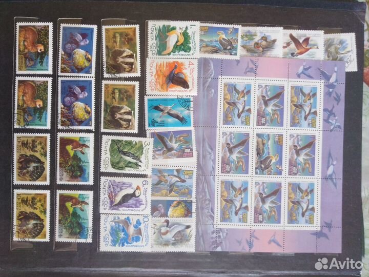 Космос,Животные,Растения