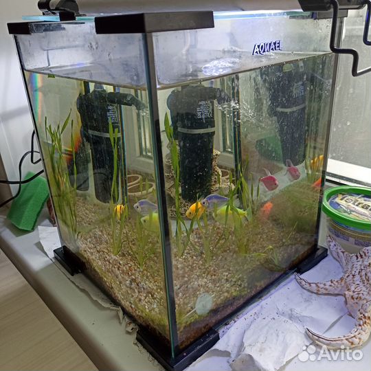 Аквариум на 20 литров