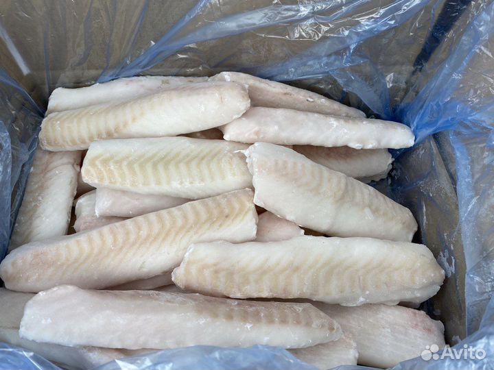 Лойн Трески (Спинка)