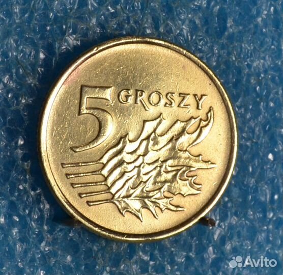 Монеты Польши