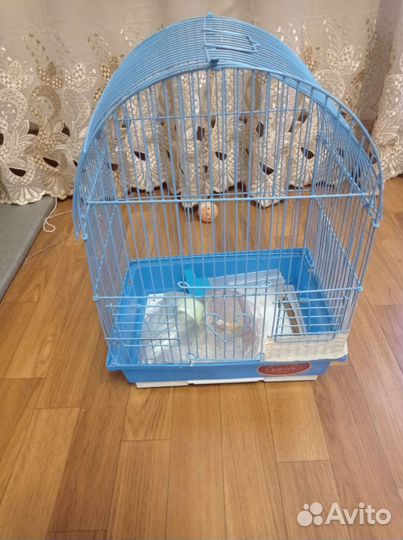 Клетка для попугая