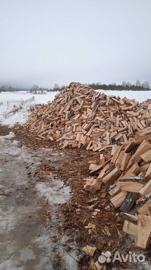 Дрова дубовые колотые