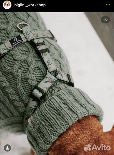 Вязаный свитер для собаки biglini