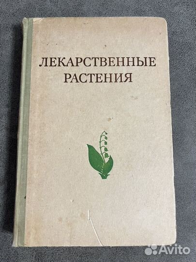 Лекарственные растения, Гаммерман