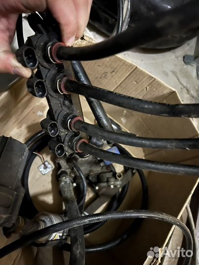 Газовое оборудование Digitronic (джитроник) бу