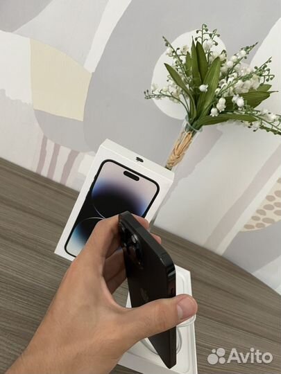 iPhone 14 Pro Max, 256 ГБ