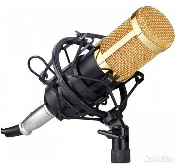Микрофон Студийный Конденсаторный