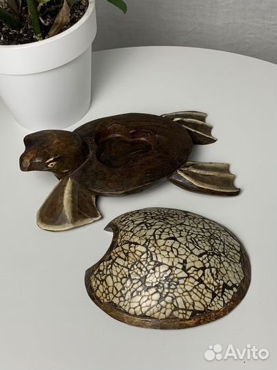 Черепаха шкатулка дерево. Новая