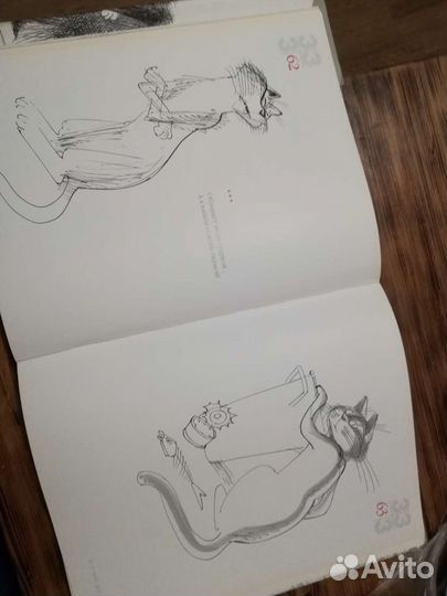 Книга 33 кота Виктор Чижиков