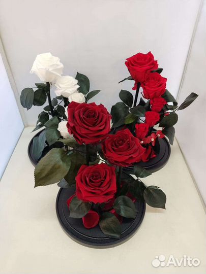 Роза в колбе оптом