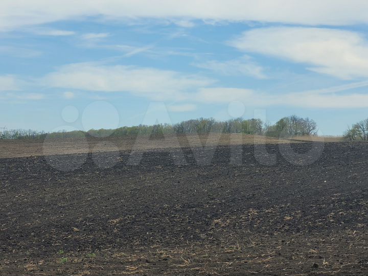 Участок 3,25 га (СНТ, ДНП)