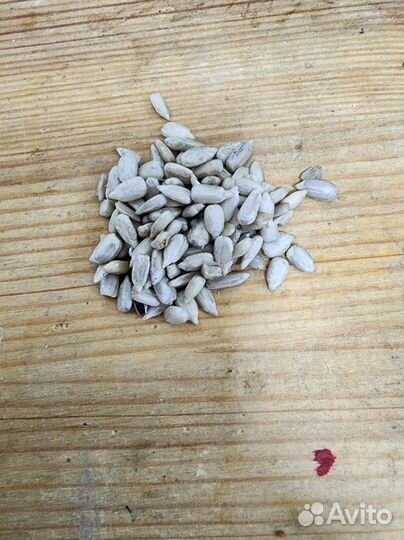 Семечки для маслоделов