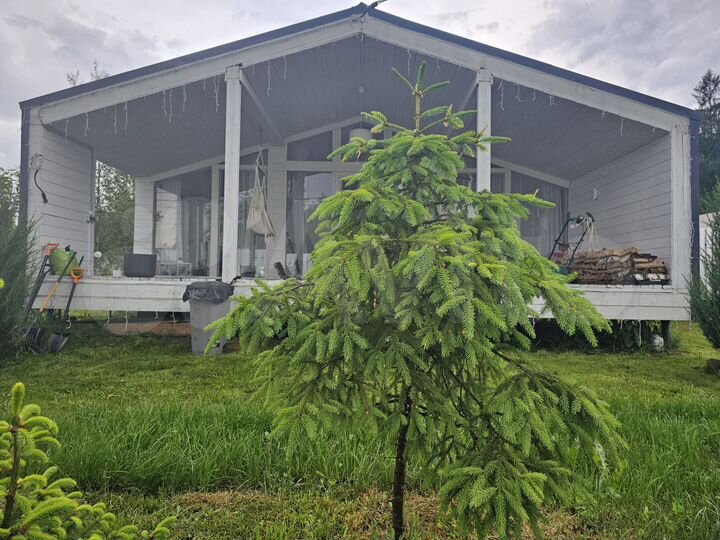 Дом 96,3 м² на участке 8 сот.