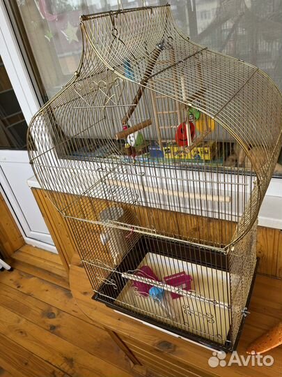 Клетка для попугая