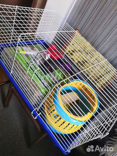 Клетка для грызунов. Огромный набор