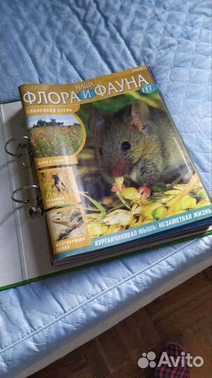 Флора и фауна 117 шт в папках