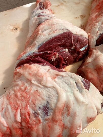 Мясо дикого кабана (арт 004)