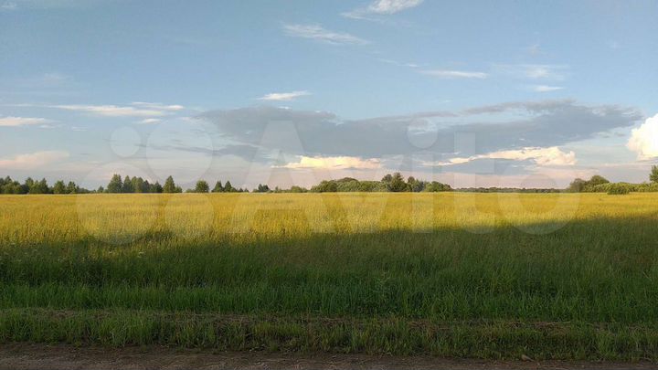 Участок 7,84 га (СНТ, ДНП)