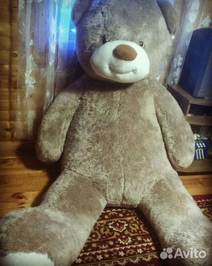 Плюшевый медведь
