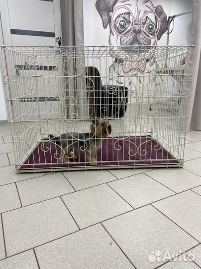 Клетка вольер для собак