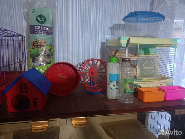 Клетки для шиншиллы и хомяка