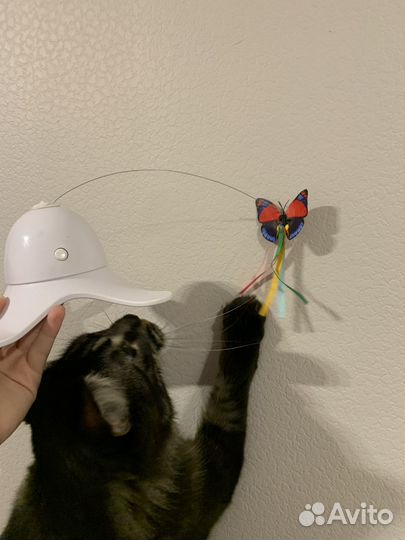 Автоматическая игрушка бабочка для кошек