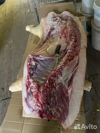 Свинина мясо сало домашнее