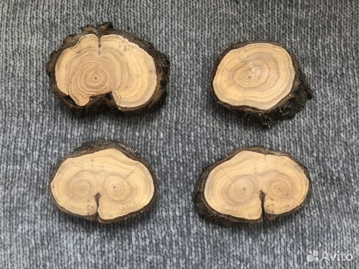 Спил облепихи