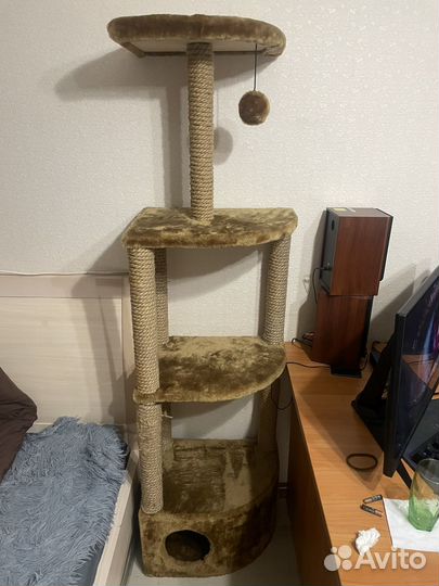 Когтеточка