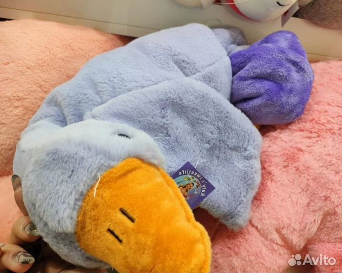 Гусь обнимусь серый с пледом