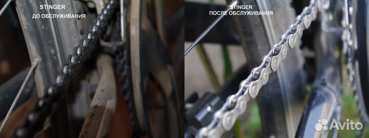 Веломастер