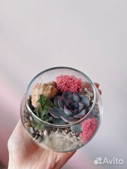 Флорариум с суккулентами