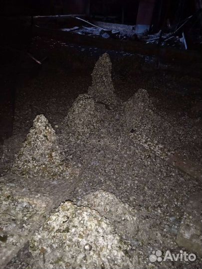 Голубиный помет. Самовывоз