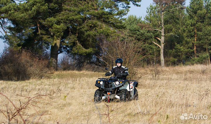 Квадрицикл Baltmotors Striker 700 EFI 2022г