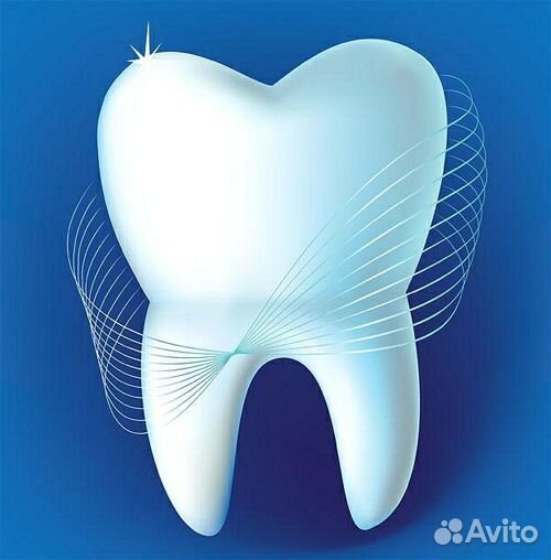 Управляющий - администратор стомат. клиники