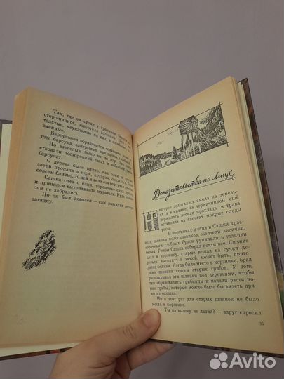 Севастьянов Лесные происшествия