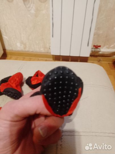 Обувь для животных