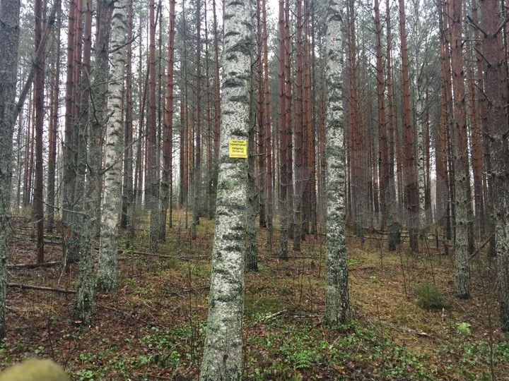 Участок 1,12 га (ИЖС)