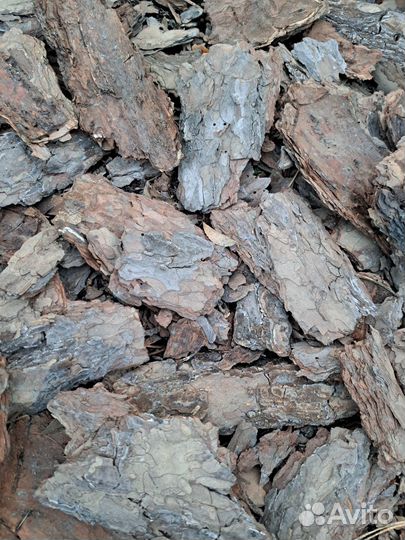 Мульча сосновая кора