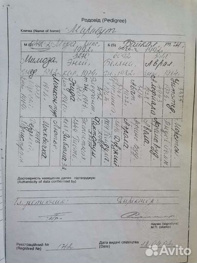 Продается жеребец, случка