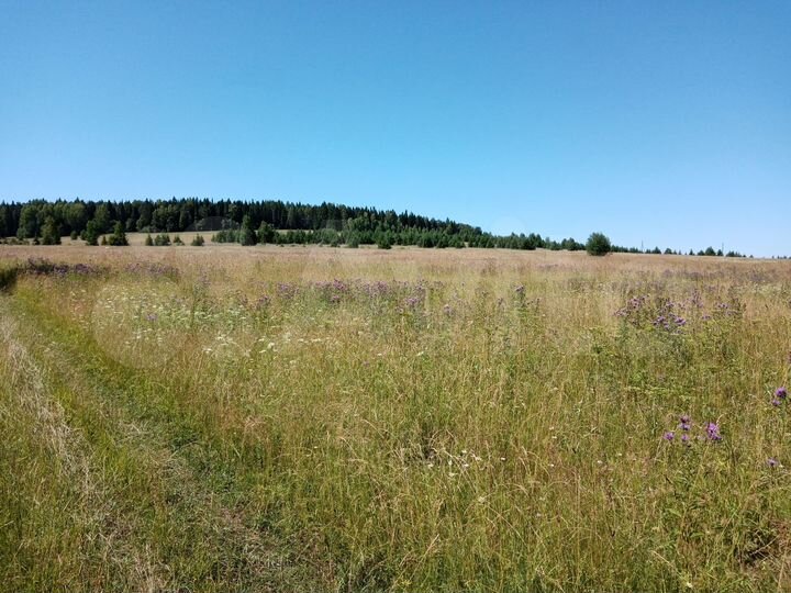 Участок 9,1 сот. (ИЖС)