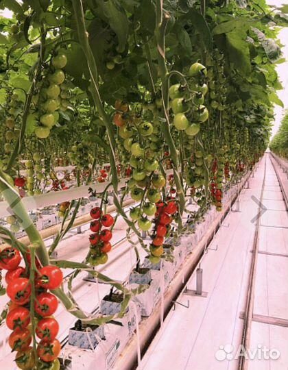 Кокосовые маты BioGrow