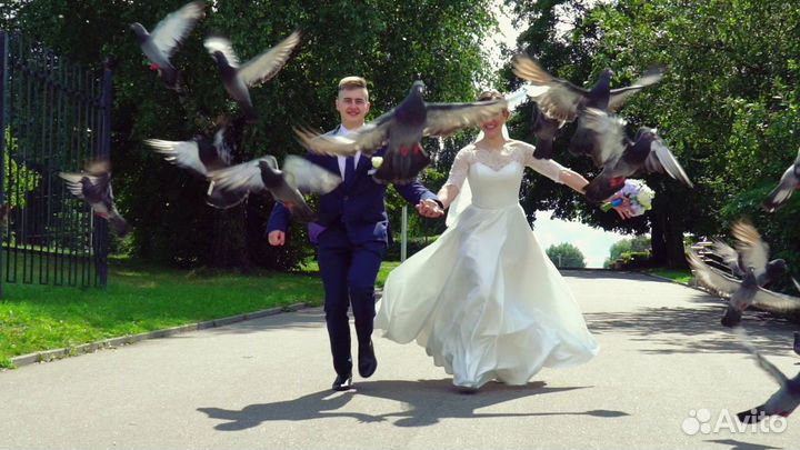 Видеограф в Калининграде и области