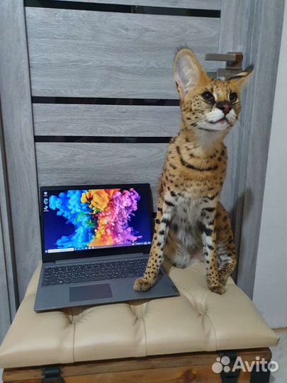 Современный ноутбук 2020года ssd 512, oзу ddr4 8гб