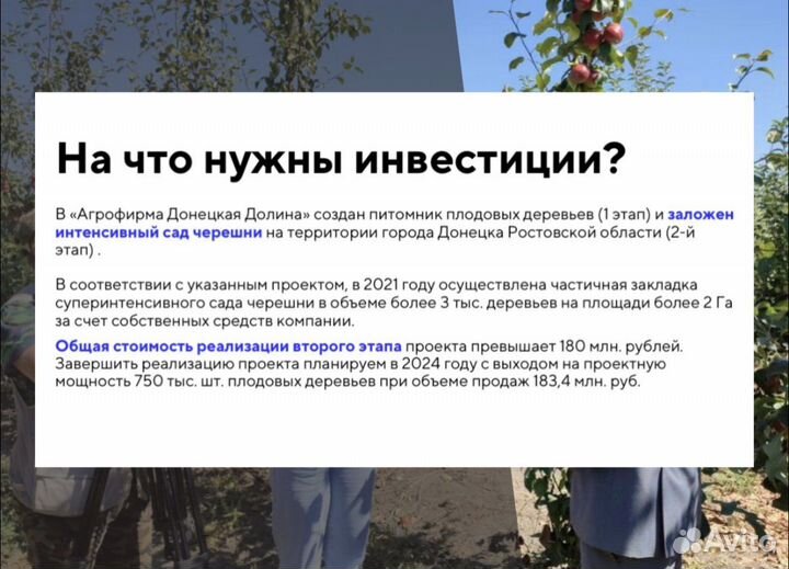 Инвестиции в развитие бизнеса