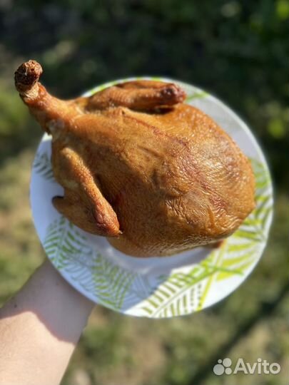 Копчёные куры, петушки, утки, перепела доставка